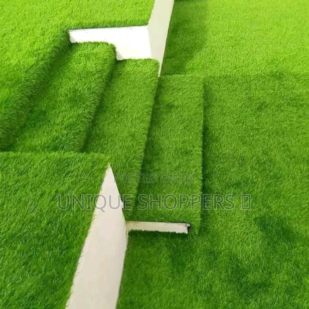 Quality Carpet Grass - thumbnail 4