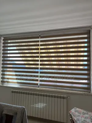 Zebra Window Blinds – Clean Modern Look