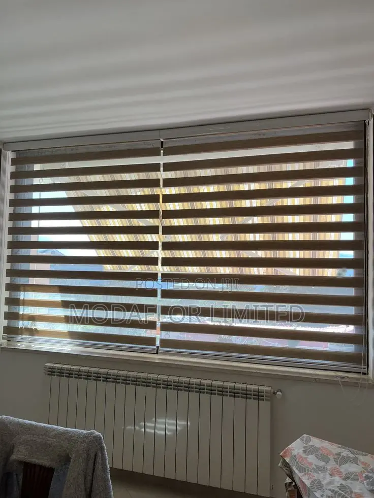Zebra Window Blinds – Clean Modern Look