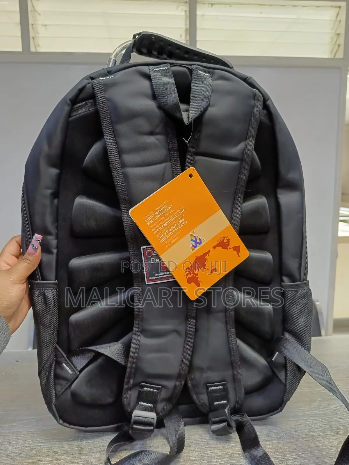 Biaowang Backpack