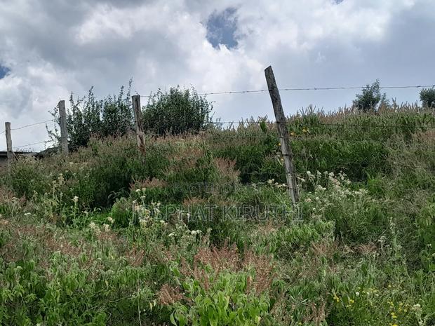 50 By 100 Prime Plot - main view