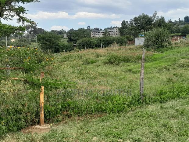 50 By 100 Prime Plot - thumbnail 3