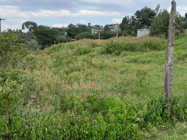 50 By 100 Prime Plot - thumbnail 5