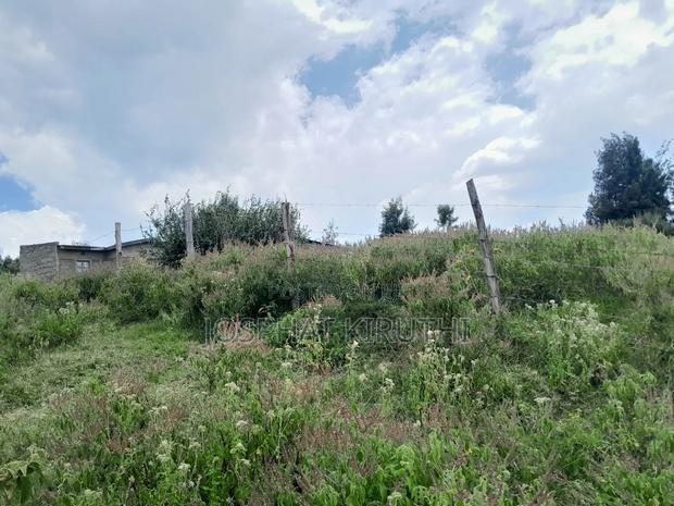 50 By 100 Prime Plot - thumbnail 7