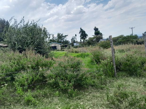 50 By 100 Prime Plot - thumbnail 8