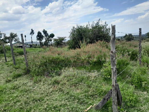 50 By 100 Prime Plot - thumbnail 9