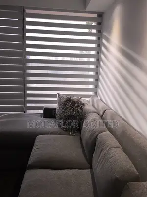 Zebra Blinds for Schools Training Centers