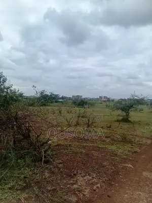 Thika Road Goldmine: 1/4 Acre Ready for Harvest! 3.7km Mang'u High