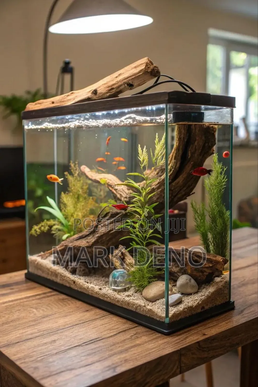 Global Aquariums