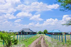 50 by 100 Plots in Malaa - Ready Title Deeds, 4 KMS - thumbnail 2