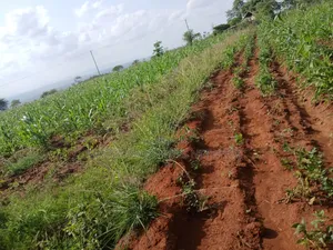 Katangi -Machakos 3 Acres for Sale.