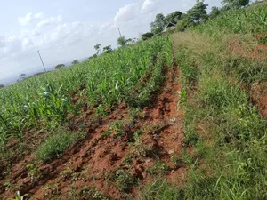 Katangi -Machakos 3 Acres for Sale.