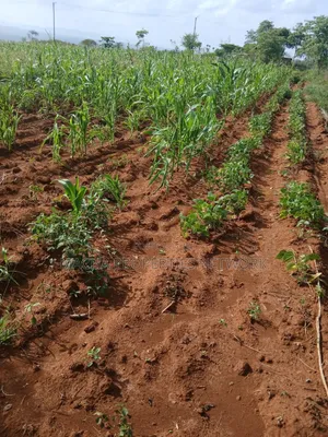 Katangi -Machakos 3 Acres for Sale.