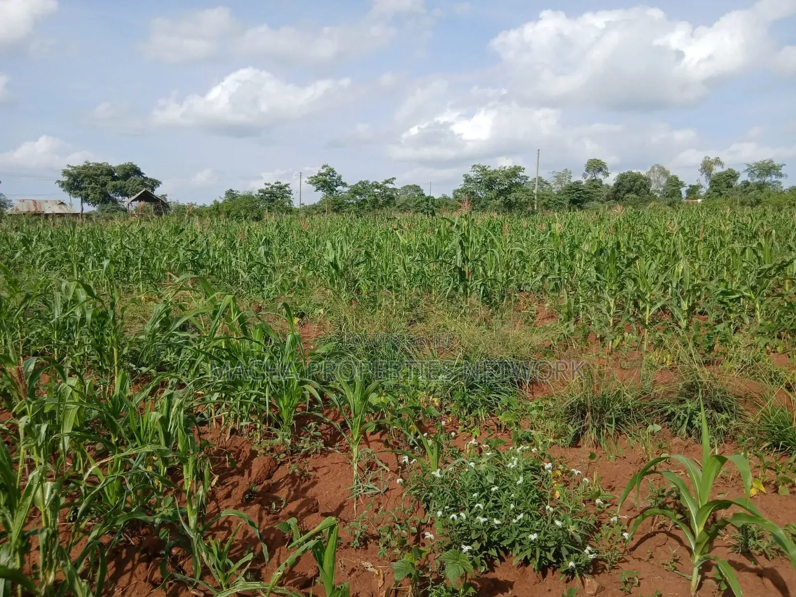 Katangi -Machakos 3 Acres for Sale.