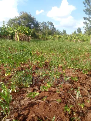 Land for Sale – Kimori Wempa , Murang’A County (Near Pro Gas Hq)