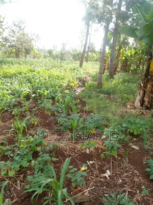 Land for Sale – Kimori Wempa , Murang’A County (Near Pro Gas Hq)