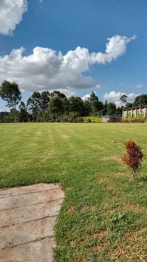 Luxury Wedding Venue