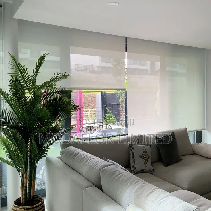 Modern Sunscreen Roller Blinds for Offices