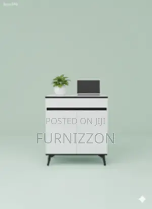 Stylish 2-Sided Cabinet for Home Office Use