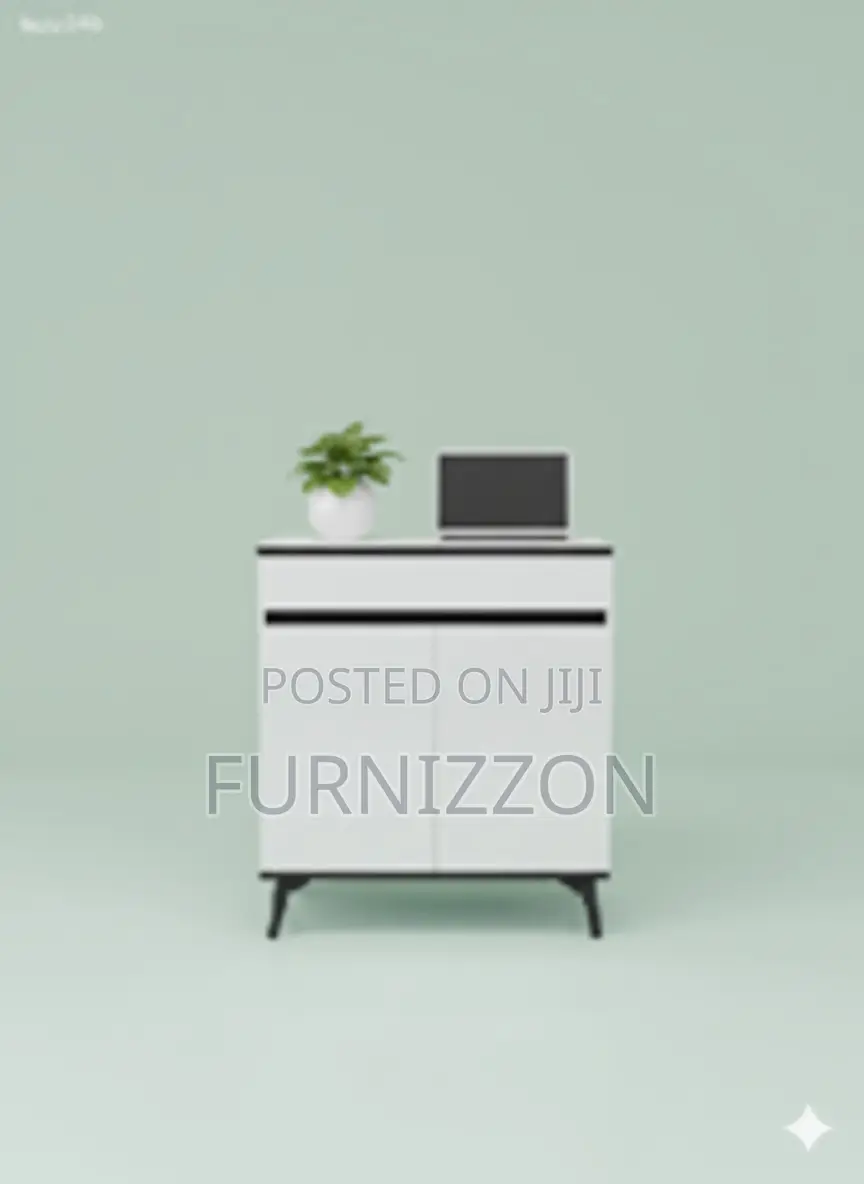 Stylish 2-Sided Cabinet for Home Office Use