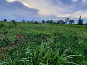 100 X 100 Residencial/ Commercial Plot Githunguri Kiambu County - thumbnail 2