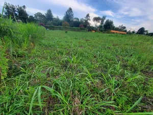 100 X 100 Residencial/ Commercial Plot Githunguri Kiambu County