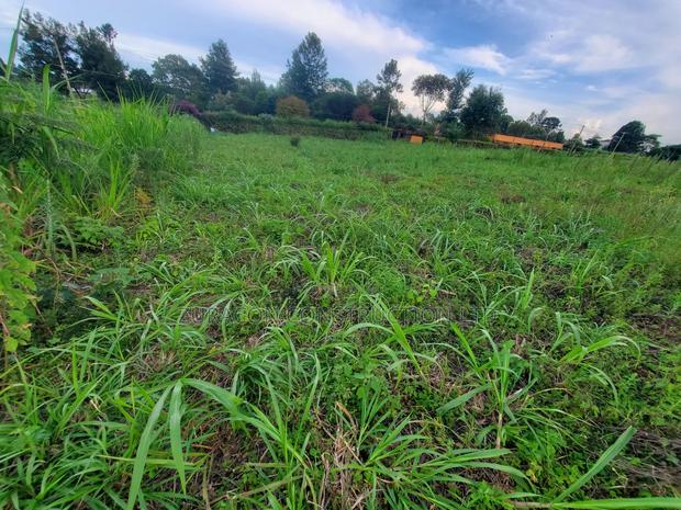 100 X 100 Residencial/ Commercial Plot Githunguri Kiambu County - thumbnail 3