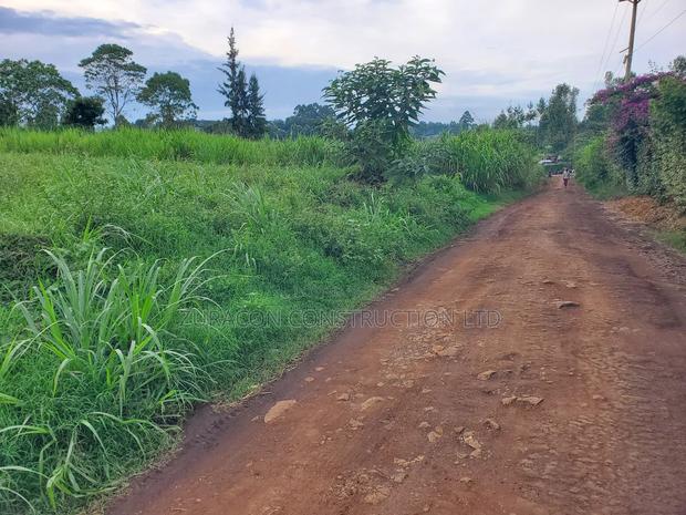 100 X 100 Residencial/ Commercial Plot Githunguri Kiambu County - thumbnail 5