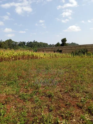 Very Prime 1⁄8ac Plots in Kamirithu Limuru