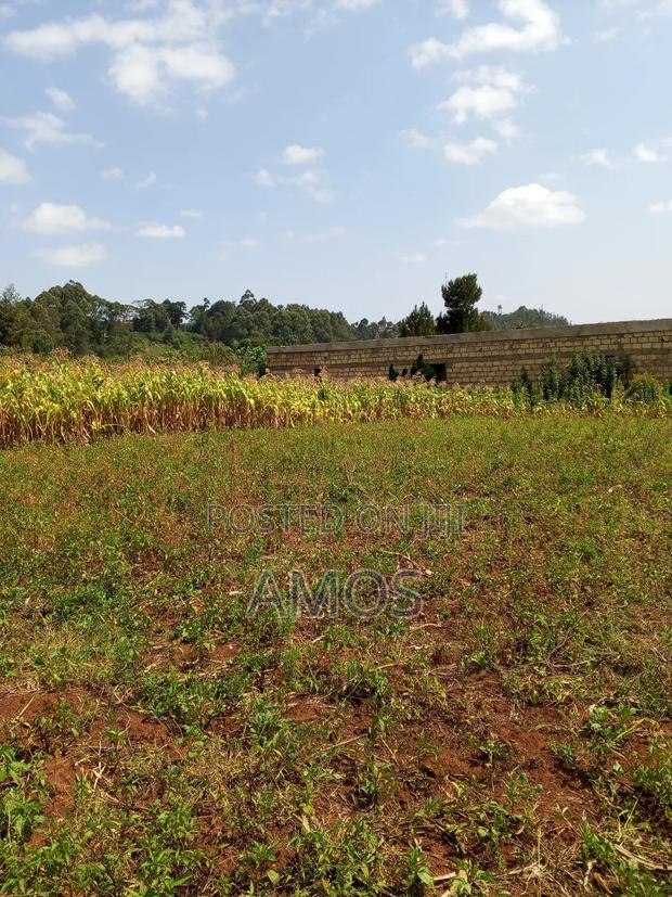 Very Prime 1⁄8ac Plots in Kamirithu Limuru