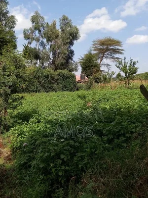 1⁄8ac Plots in Kwambira Limuru