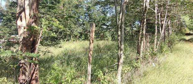 Embu , Kiritiri Town 0.25 Acres Residential Farmland