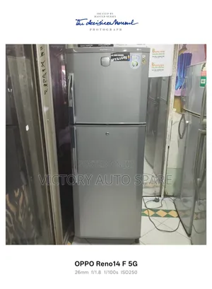 Gray Double Door Fridge