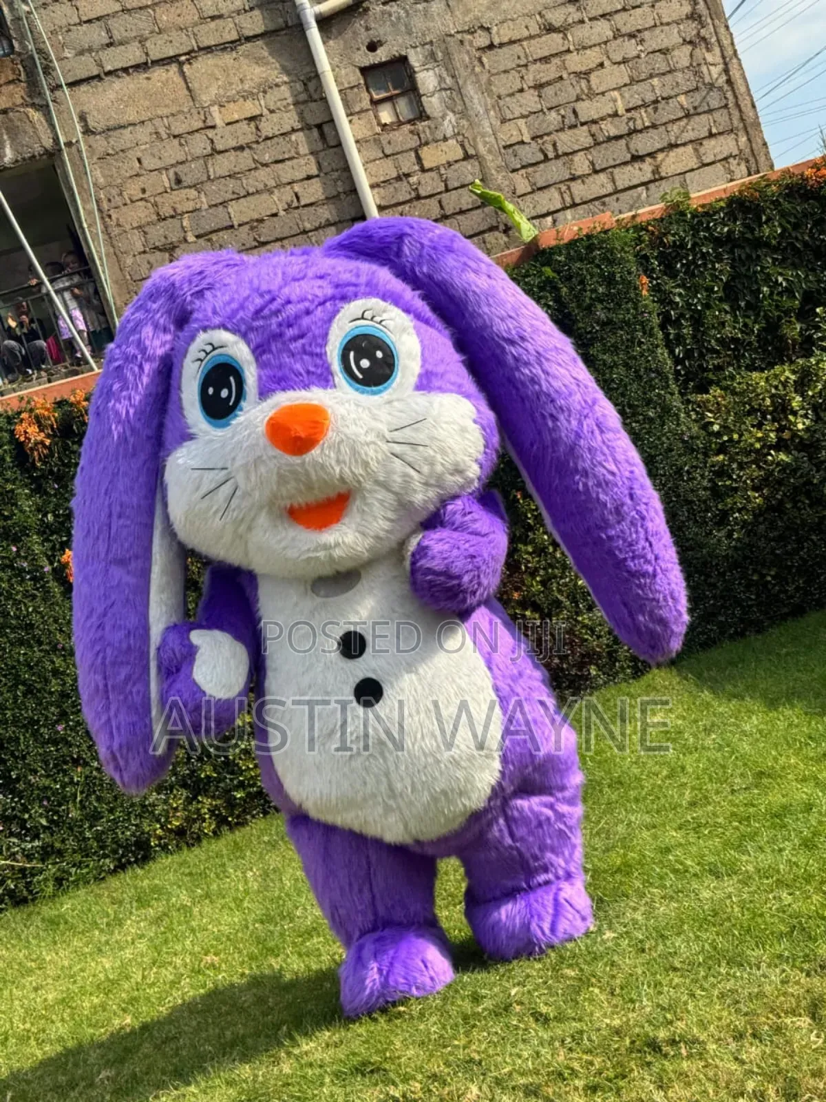 Inflatable Mascot