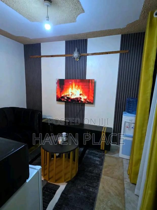 1 Bedroom and Studio Apartments South B/C Netflix - thumbnail 4