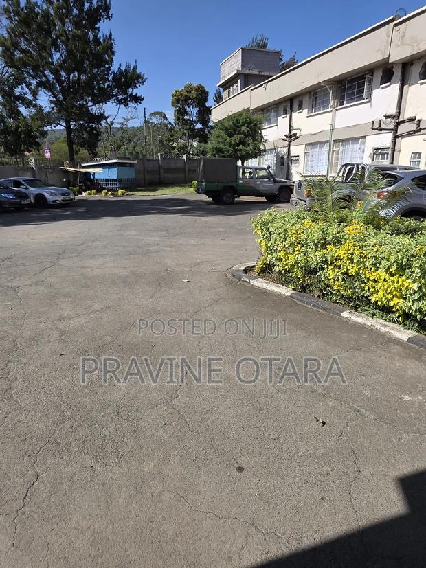 1 Bedroom Airbnb - main view