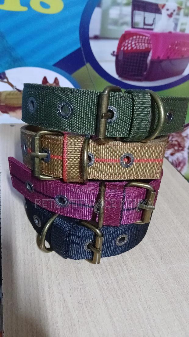 Strong Dog Collars Suitable Even for Strong Dogs