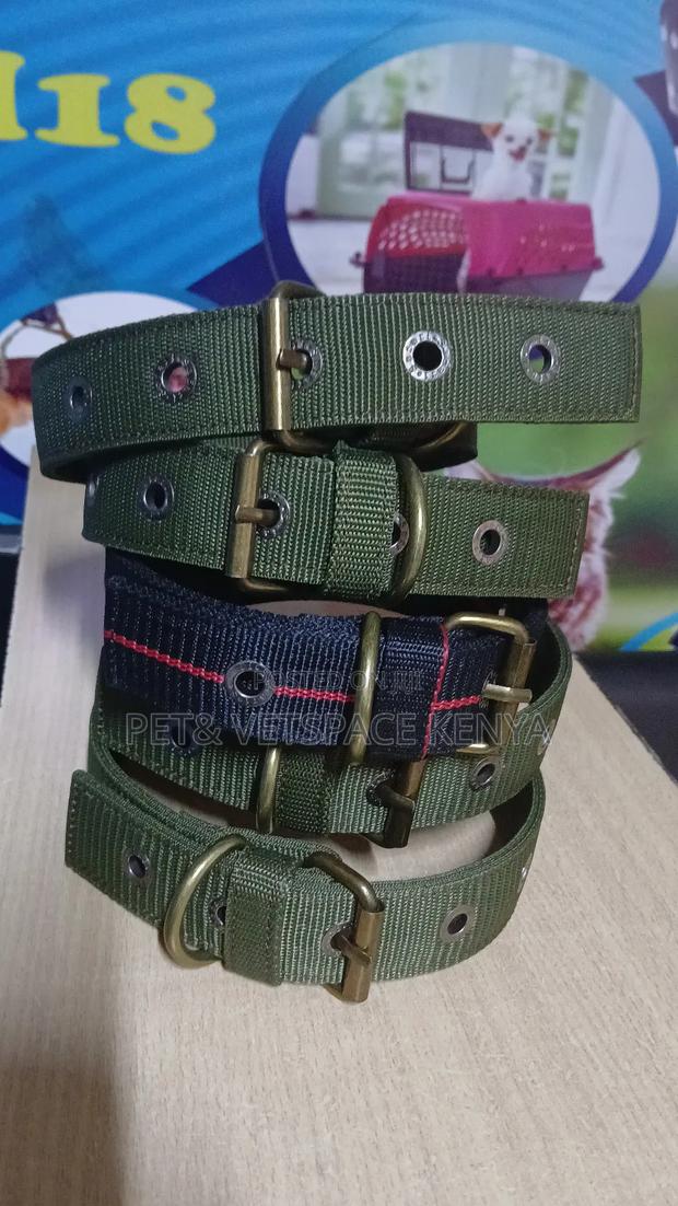 Strong Dog Collars Suitable Even for Strong Dogs - thumbnail 3