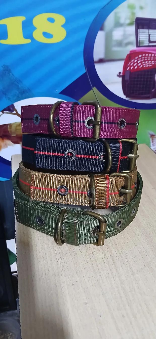 Strong Dog Collars Suitable Even for Strong Dogs - thumbnail 4