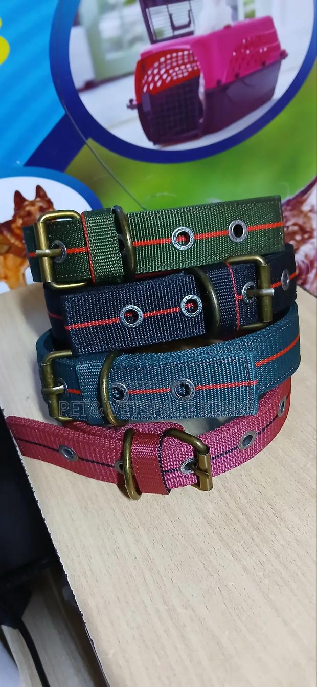 Strong Dog Collars Suitable Even for Strong Dogs - thumbnail 5