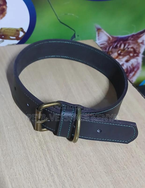Strong Pure Leather Dog Collars - thumbnail 3