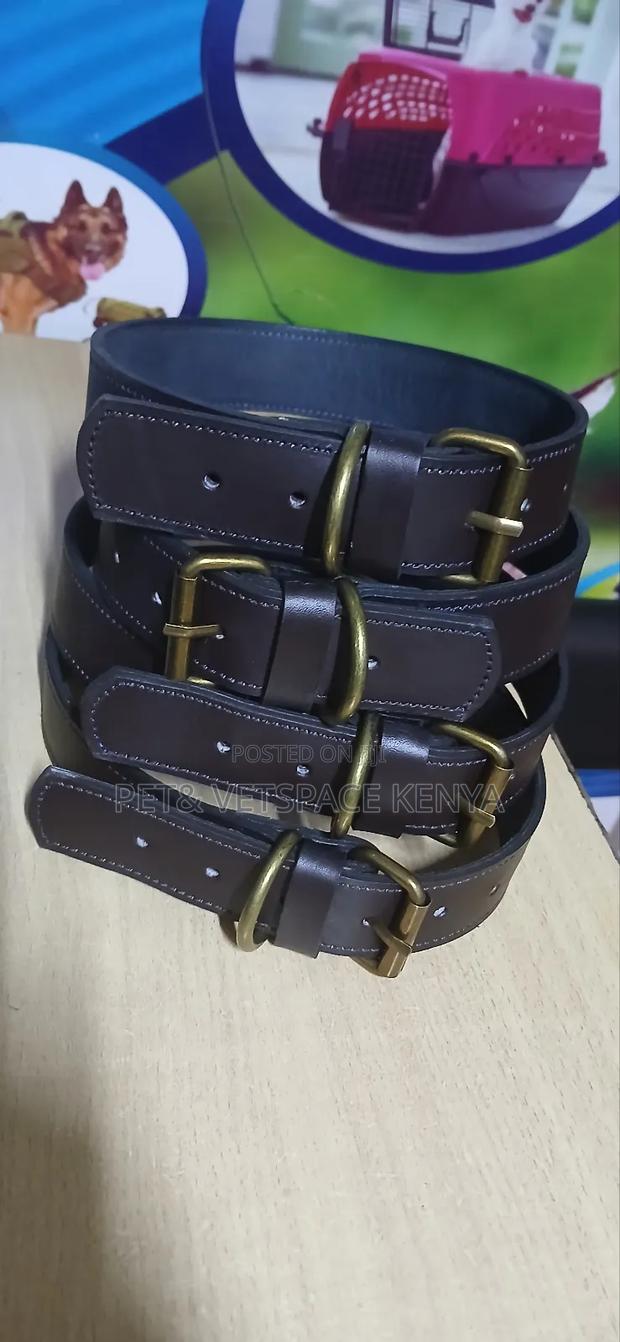 Strong Pure Leather Dog Collars - thumbnail 4