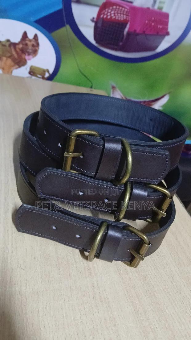 Strong Pure Leather Dog Collars - thumbnail 5