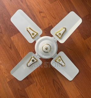 Roch 24 Inches Ceiling Fan - thumbnail 2