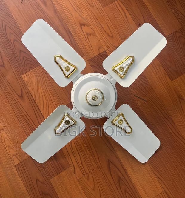 Roch 24 Inches Ceiling Fan - main view