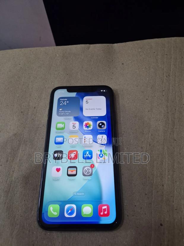 Apple iPhone 11 256 GB Gray - thumbnail 13