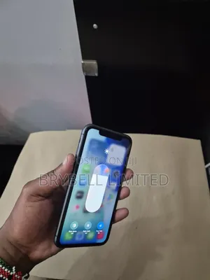 Apple iPhone 11 256 GB Gray