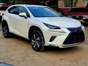 Lexus NX 300 AWD 2019 White