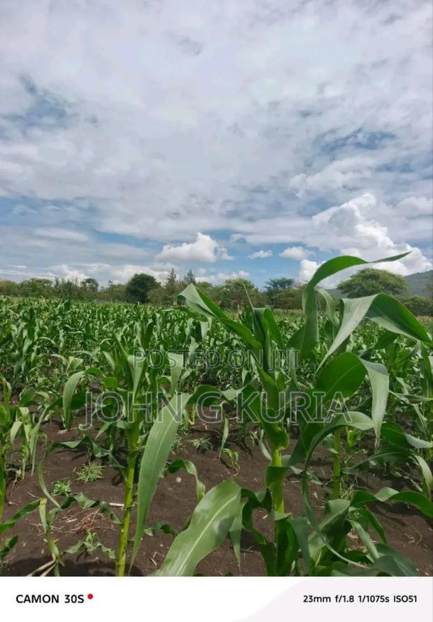 Land for Sale - thumbnail 2