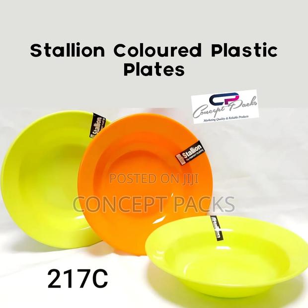 120pcs Stallion Coloured Plate 217 - main view